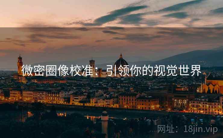 微密圈像校准：引领你的视觉世界