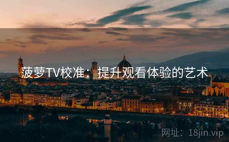 菠萝TV校准:提升观看体验的艺术