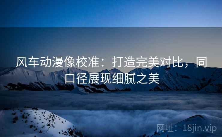 风车动漫像校准:打造完美对比,同口径展现细腻之美